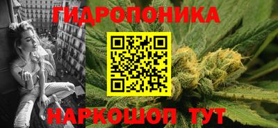 гашик Вышний Волочёк