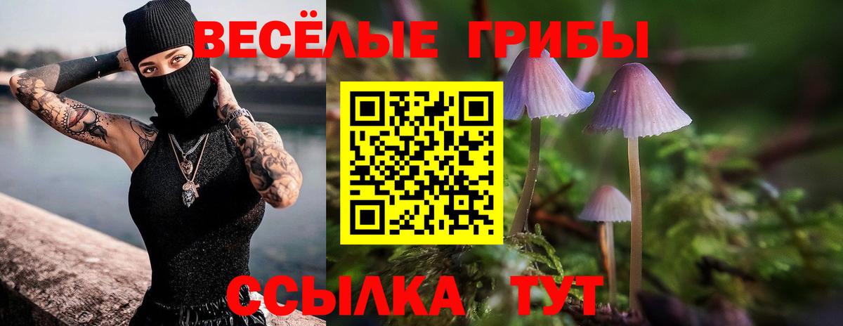 Галлюциногенные грибы прущие грибы Братск